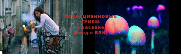 jwh Белокуриха