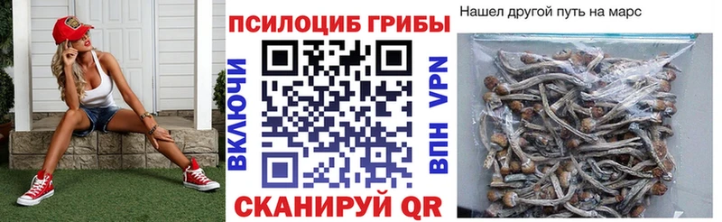даркнет сайт  Новочебоксарск  Псилоцибиновые грибы прущие грибы 